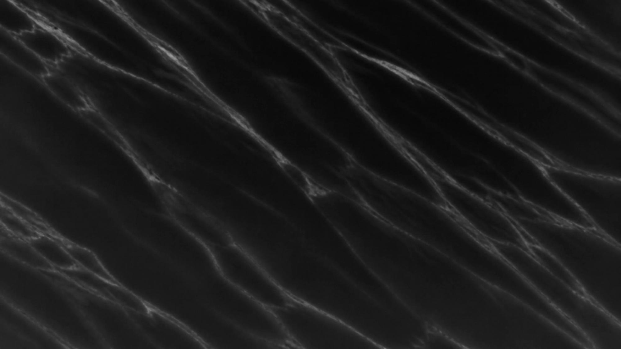 Black marble texture with white veins