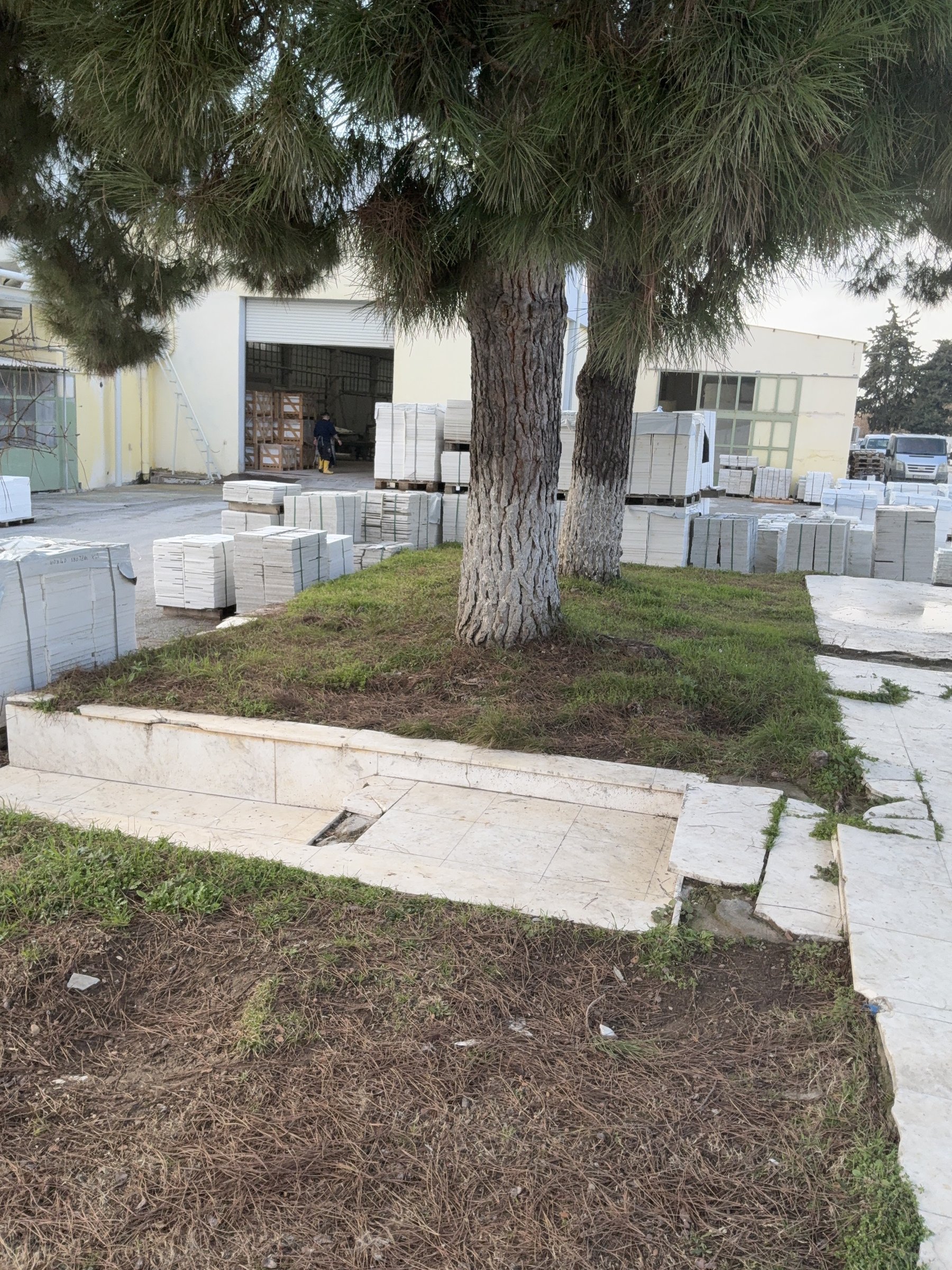 Marble stock stacked in the stone yard beside a pine tree